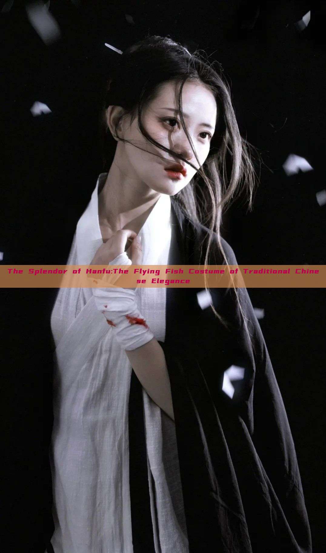 The Splendor of Hanfu:The Flying Fish Costume of Traditional Chinese Elegance The Splendor of Hanfu:The Flying Fish Costume of Traditional Chinese Elegance