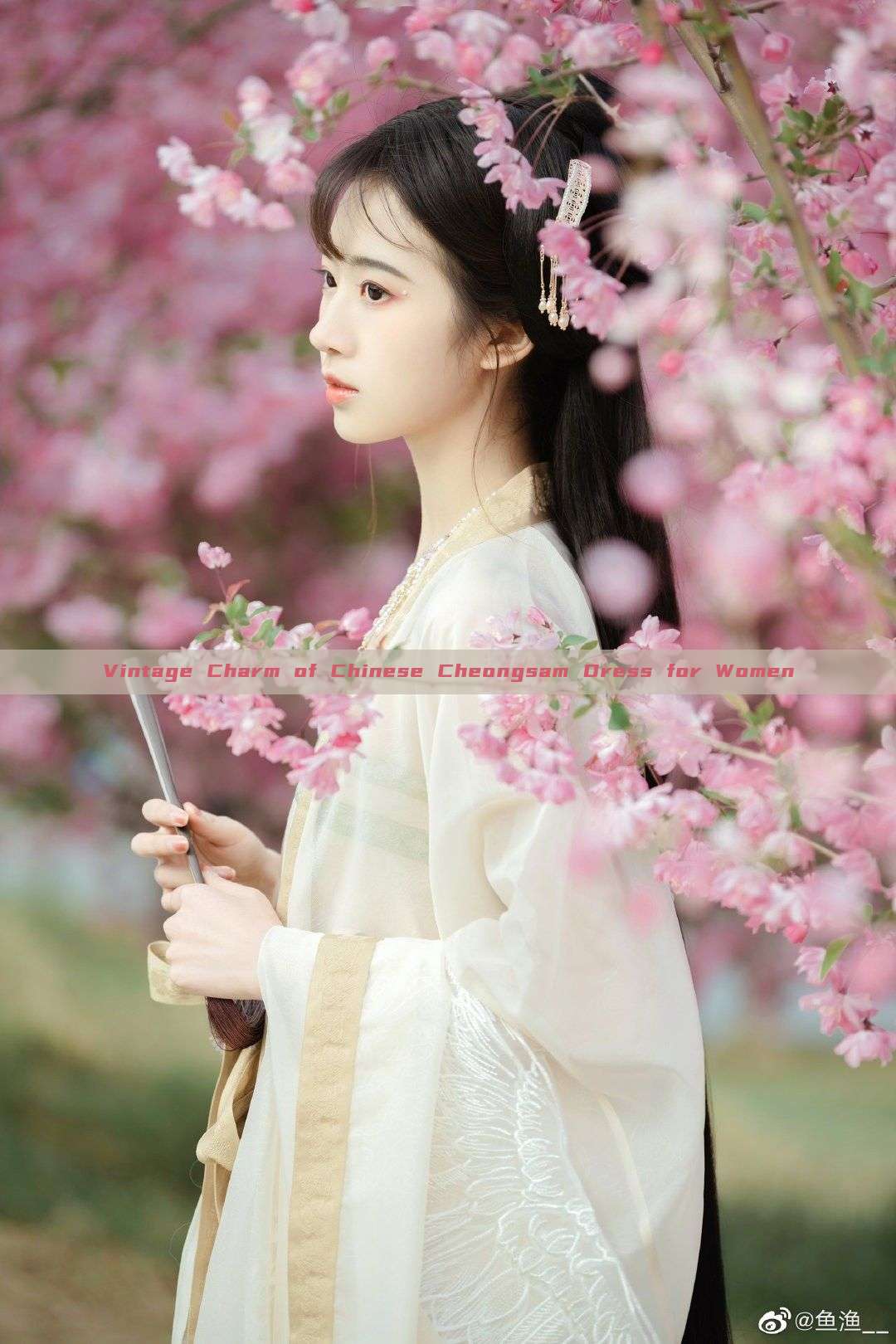 Vintage Charm of Chinese Cheongsam Dress for Women Vintage Charm of Chinese Cheongsam Dress for Women