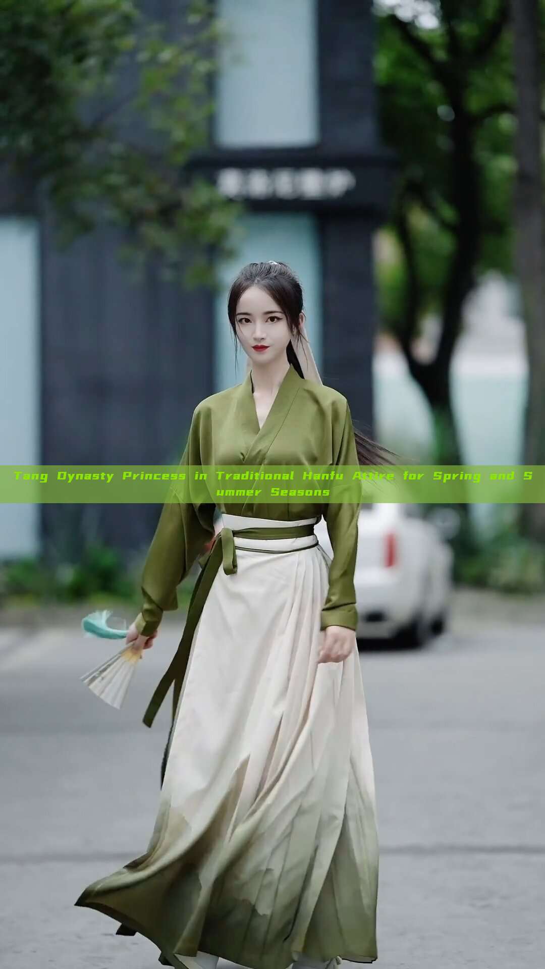Tang Dynasty Princess in Traditional Hanfu Attire for Spring and Summer Seasons