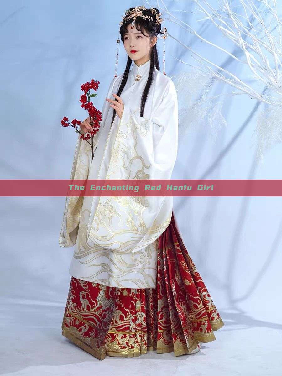 The Enchanting Red Hanfu Girl The Enchanting Red Hanfu Girl