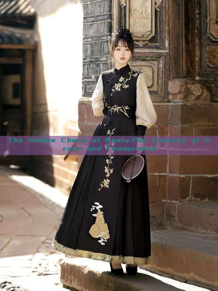 The Mellow Charm of Hanfu:The Essence of Grace and Tenderness The Mellow Charm of Hanfu:The Essence of Grace and Tenderness