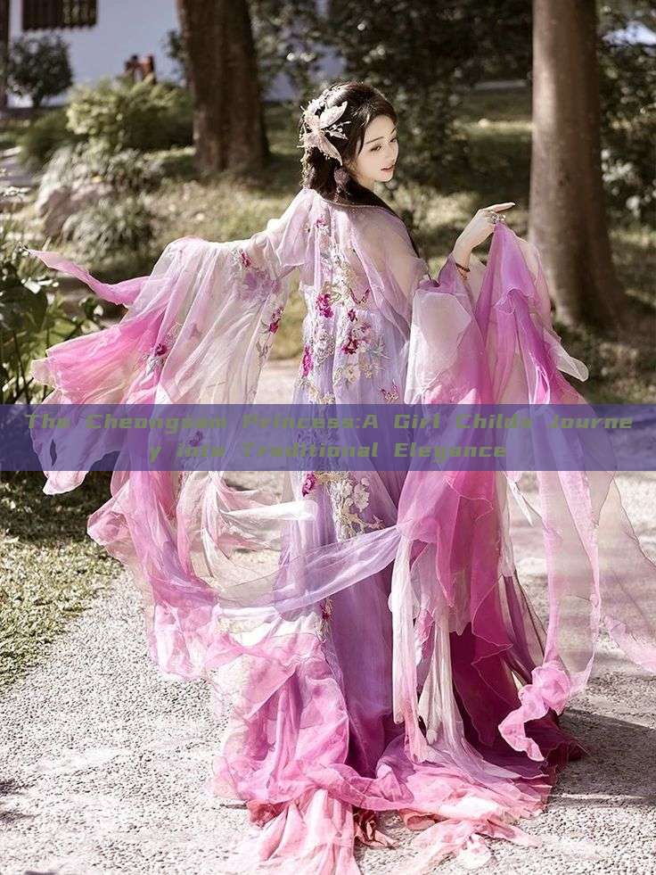 The Cheongsam Princess:A Girl Childs Journey into Traditional Elegance The Cheongsam Princess:A Girl Childs Journey into Traditional Elegance