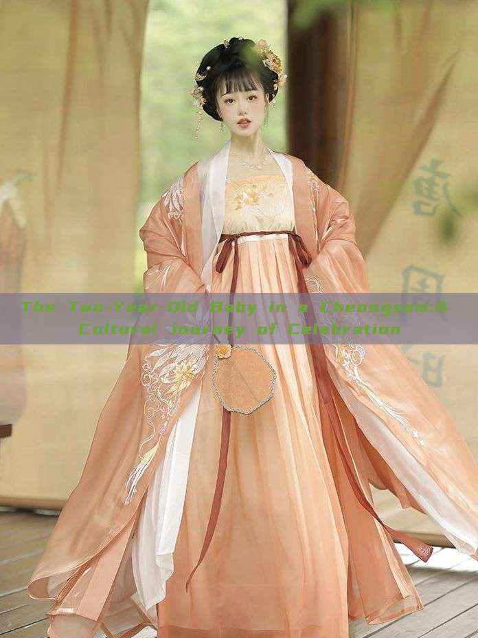 The Two-Year-Old Baby in a Cheongsam:A Cultural Journey of Celebration The Two-Year-Old Baby in a Cheongsam:A Cultural Journey of Celebration