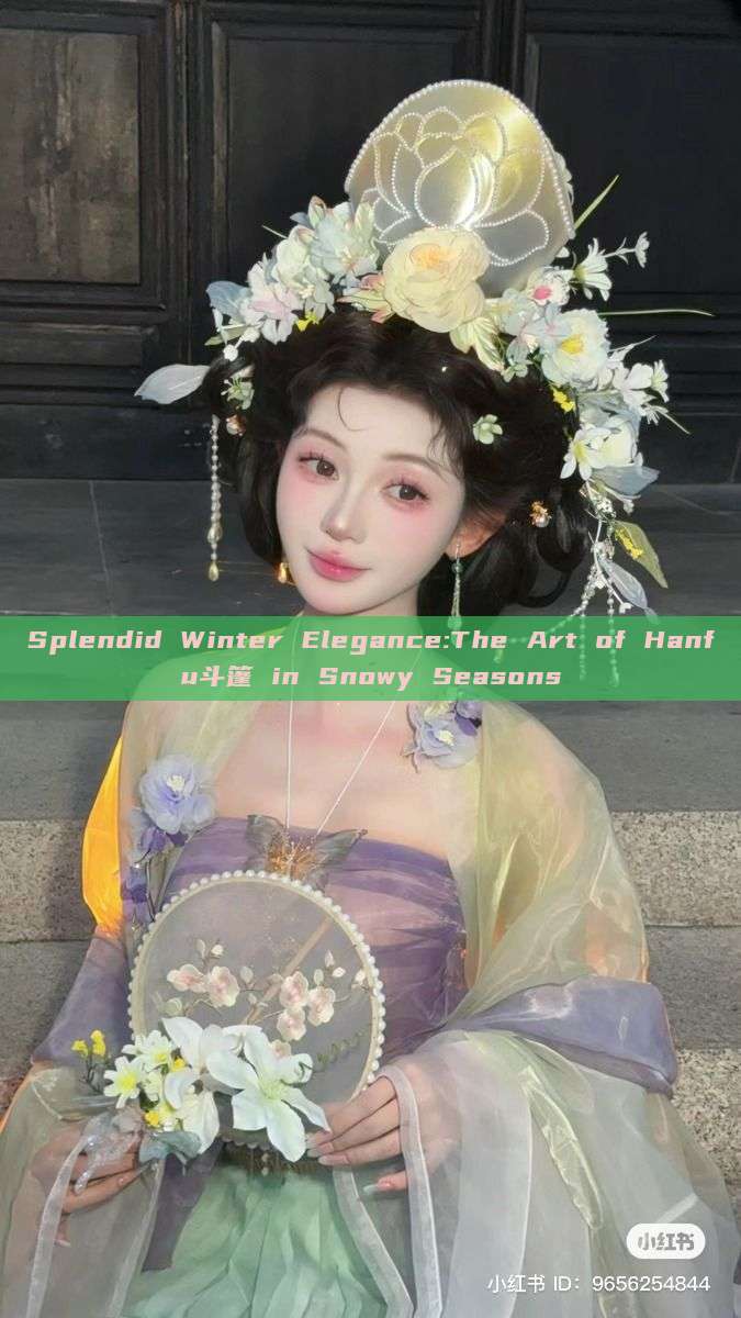 Splendid Winter Elegance:The Art of Hanfu斗篷 in Snowy Seasons Splendid Winter Elegance:The Art of Hanfu斗篷 in Snowy Seasons