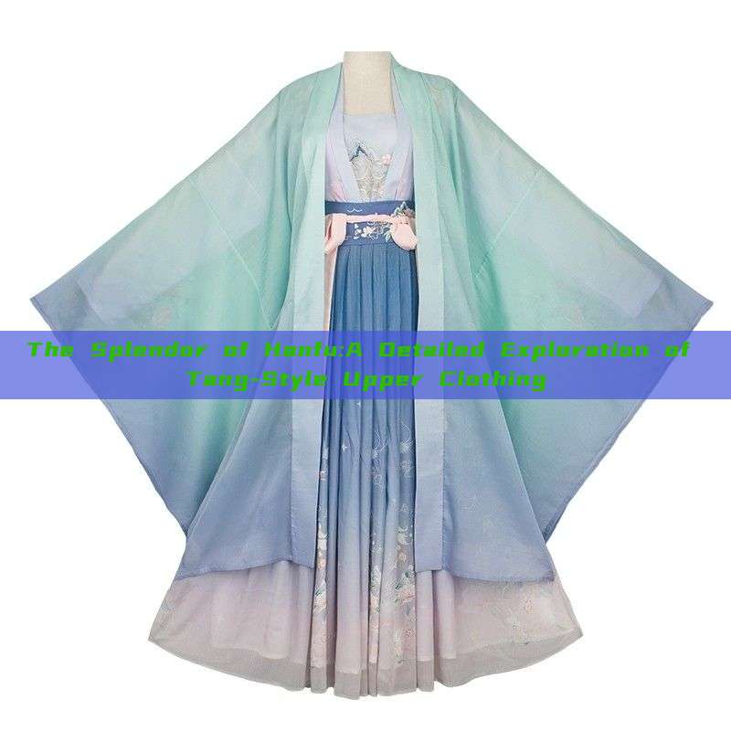 The Splendor of Hanfu:A Detailed Exploration of Tang-Style Upper Clothing