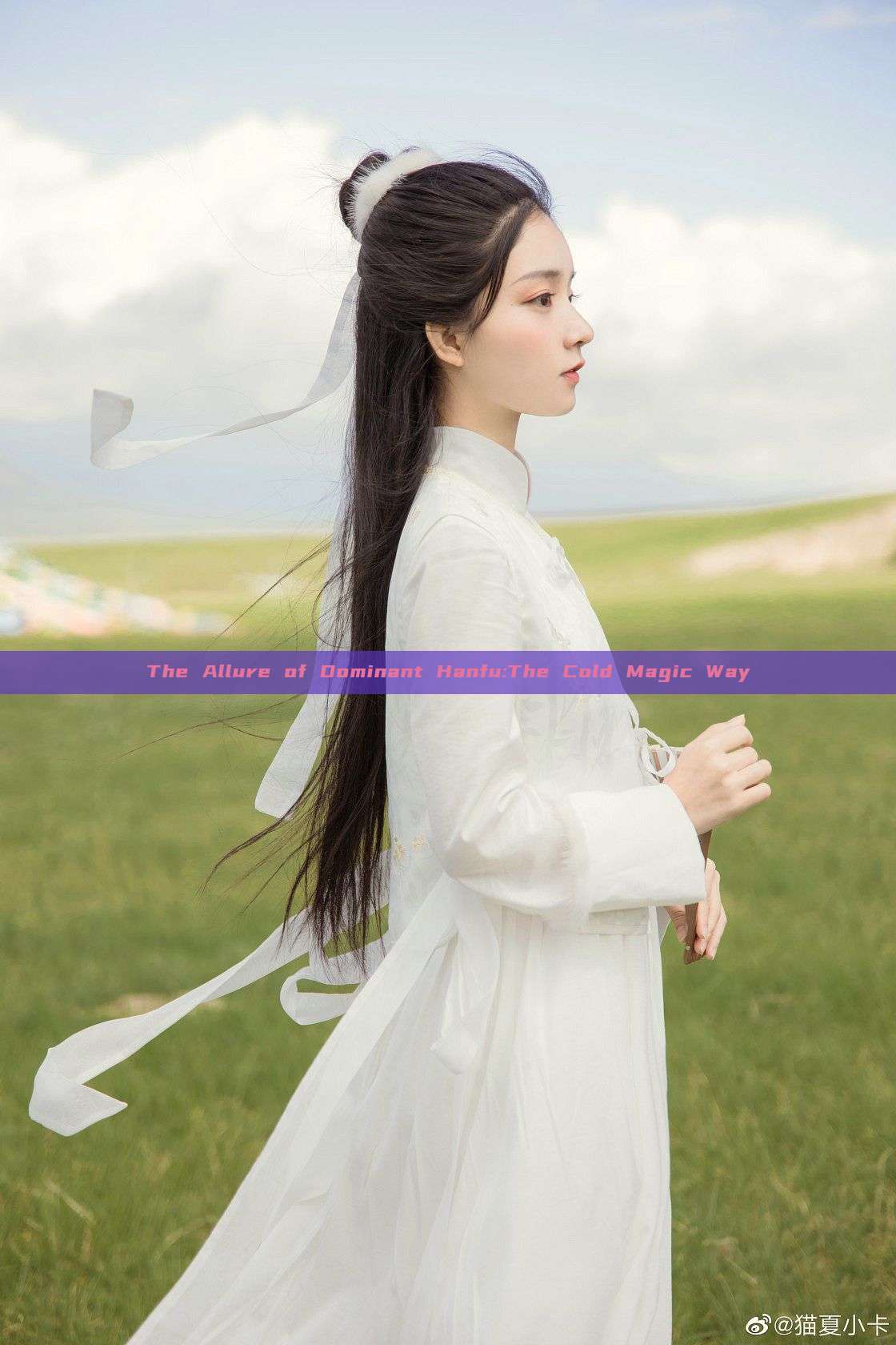 The Allure of Dominant Hanfu:The Cold Magic Way The Allure of Dominant Hanfu:The Cold Magic Way