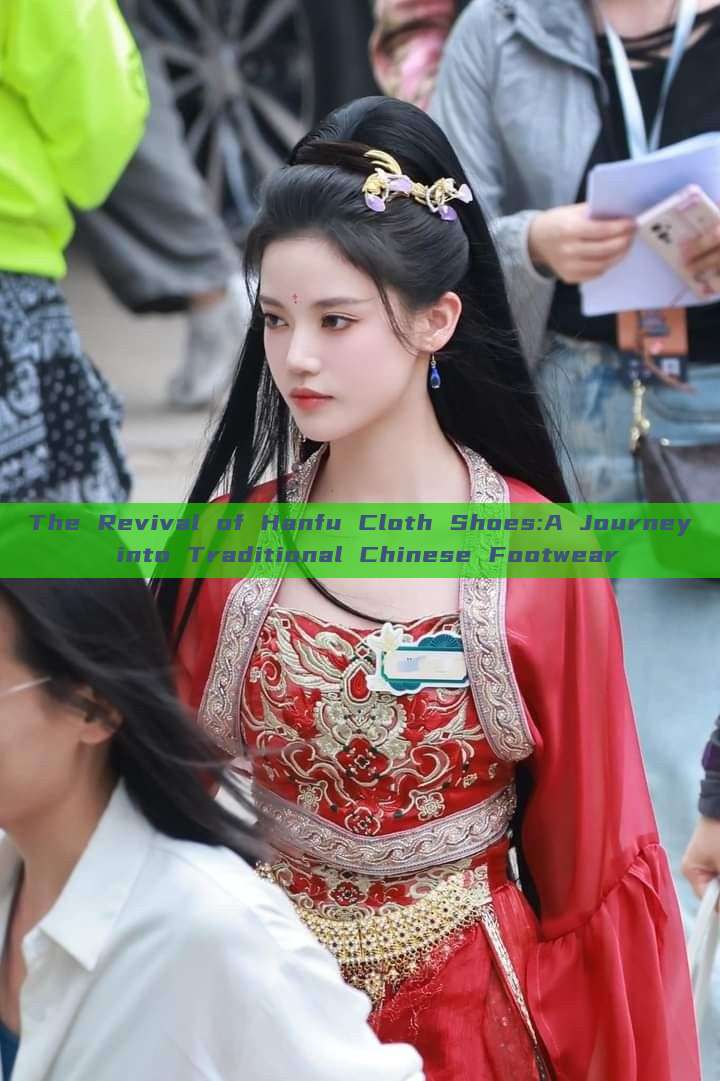 The Revival of Hanfu Cloth Shoes:A Journey into Traditional Chinese Footwear The Revival of Hanfu Cloth Shoes:A Journey into Traditional Chinese Footwear