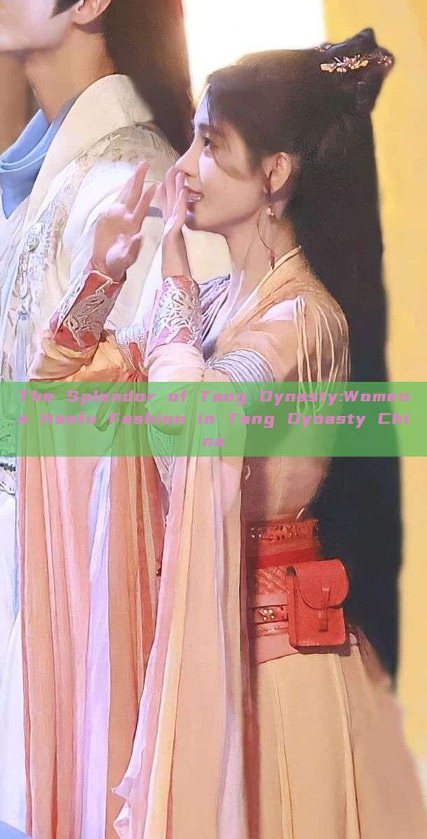 The Splendor of Tang Dynasty:Womens Hanfu Fashion in Tang Dynasty China The Splendor of Tang Dynasty:Womens Hanfu Fashion in Tang Dynasty China