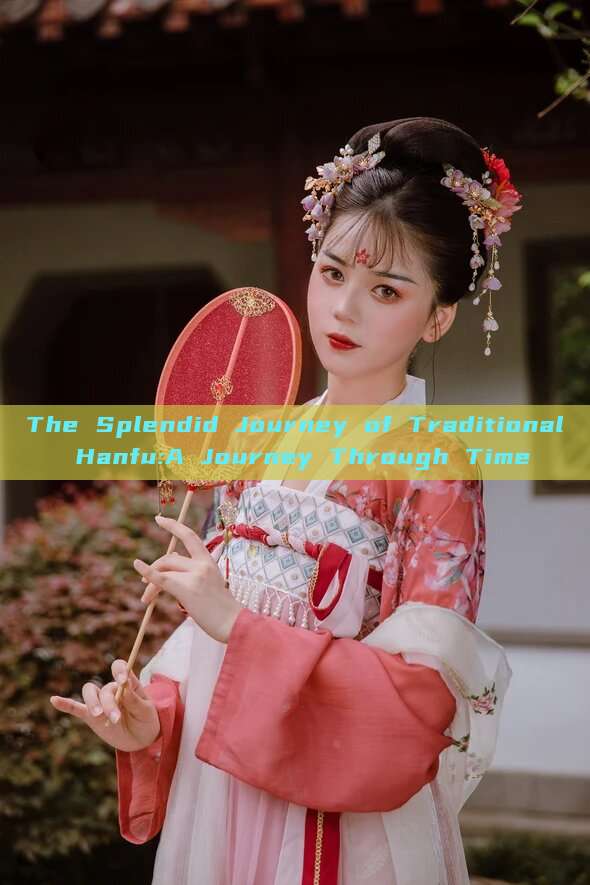The Splendid Journey of Traditional Hanfu:A Journey Through Time