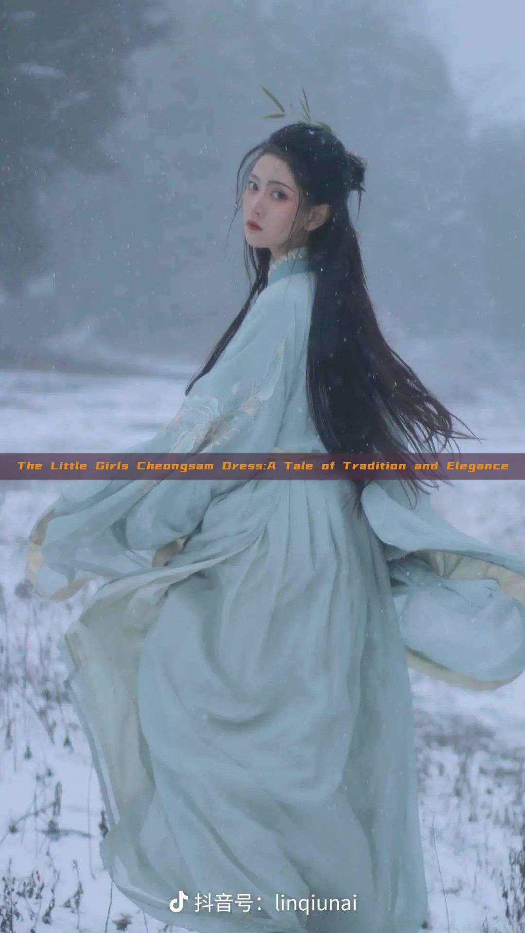 The Little Girls Cheongsam Dress:A Tale of Tradition and Elegance The Little Girls Cheongsam Dress:A Tale of Tradition and Elegance
