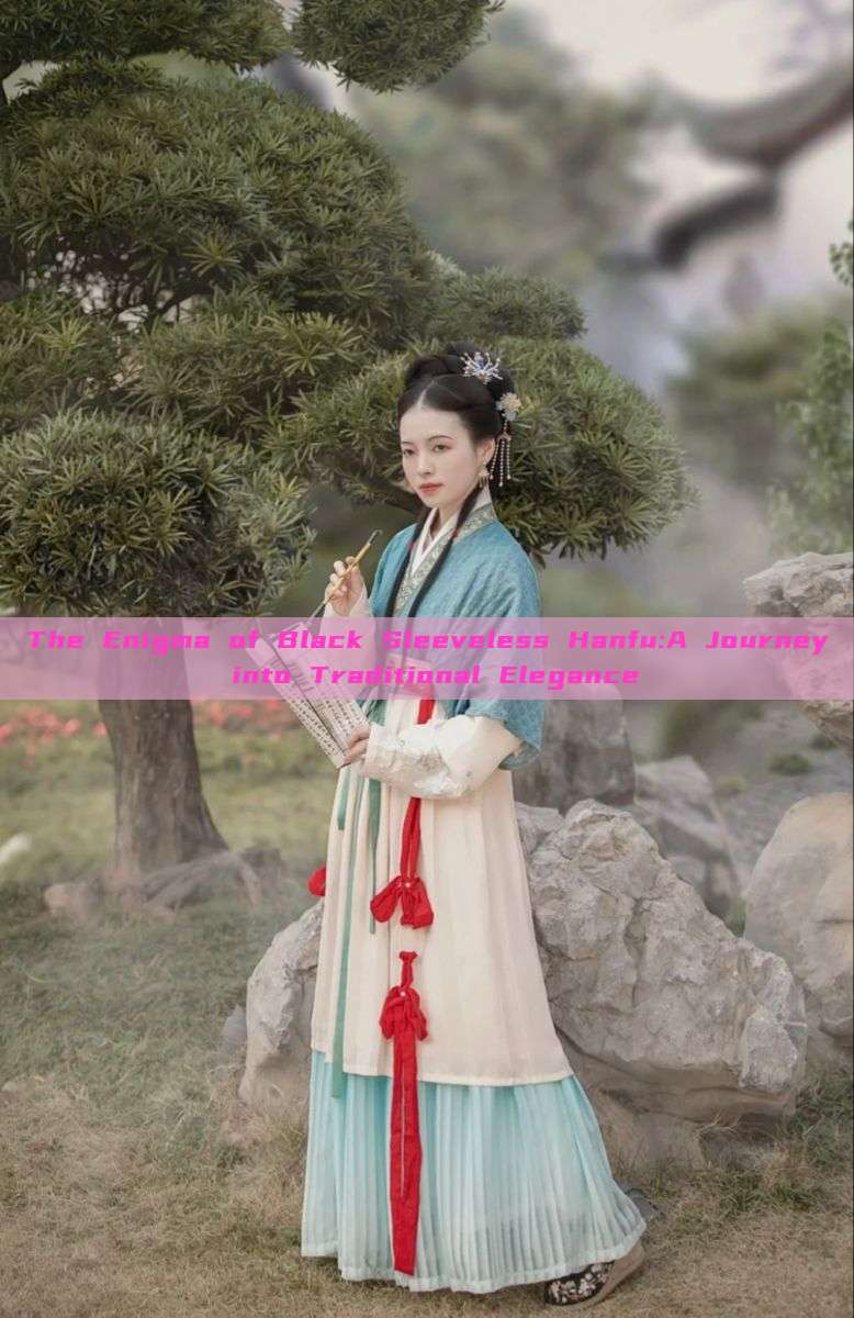 The Enigma of Black Sleeveless Hanfu:A Journey into Traditional Elegance