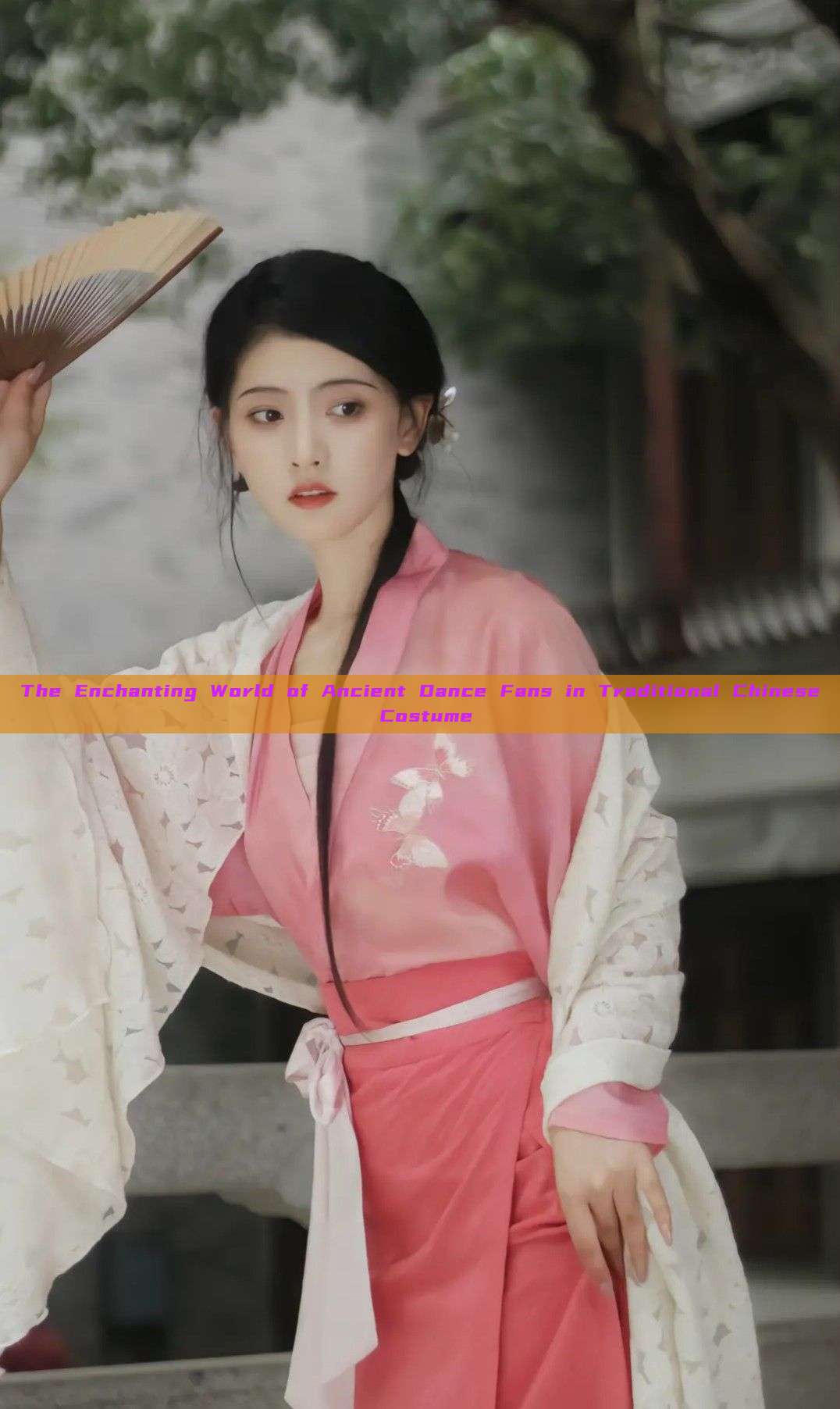 The Enchanting World of Ancient Dance Fans in Traditional Chinese Costume The Enchanting World of Ancient Dance Fans in Traditional Chinese Costume