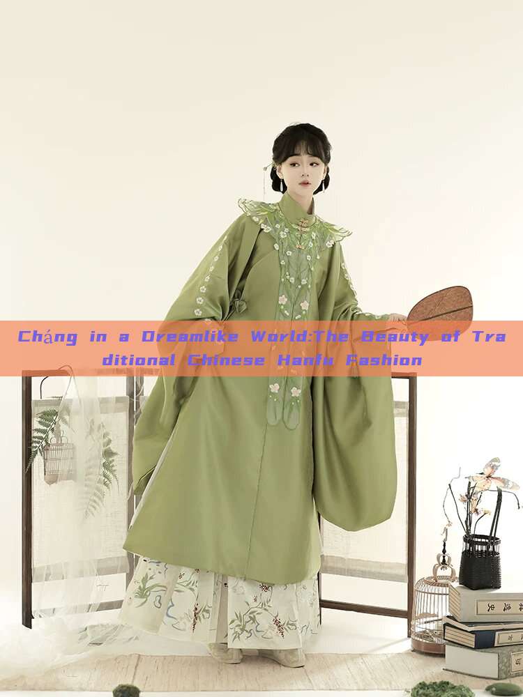 Cháng in a Dreamlike World:The Beauty of Traditional Chinese Hanfu Fashion Cháng in a Dreamlike World:The Beauty of Traditional Chinese Hanfu Fashion