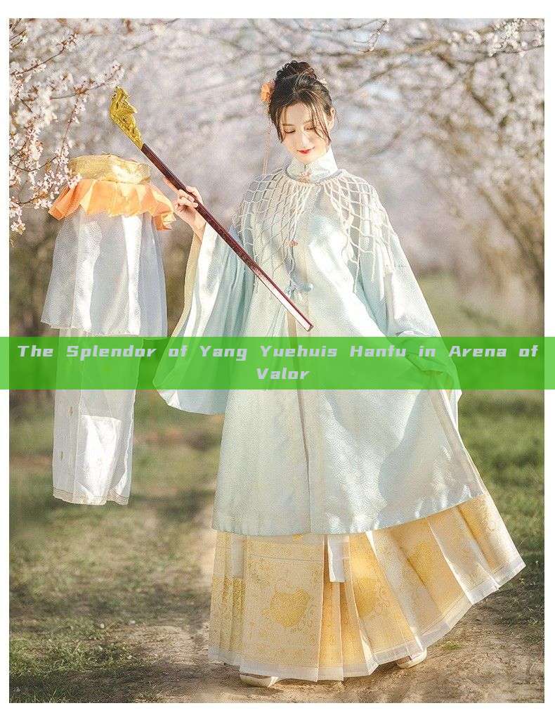 The Splendor of Yang Yuehuis Hanfu in Arena of Valor The Splendor of Yang Yuehuis Hanfu in Arena of Valor