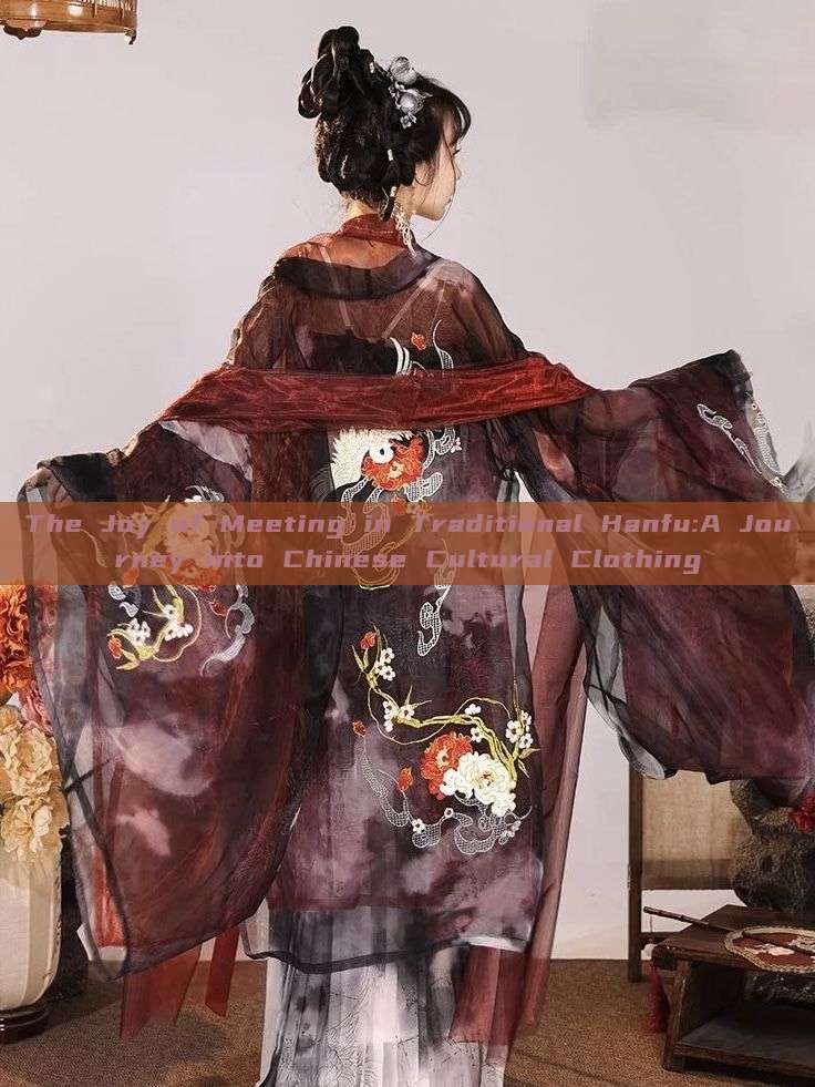 The Joy of Meeting in Traditional Hanfu:A Journey into Chinese Cultural Clothing