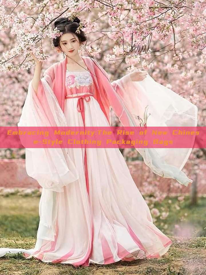 Embracing Modernity:The Rise of New Chinese-Style Clothing Packaging Bags Embracing Modernity:The Rise of New Chinese-Style Clothing Packaging Bags