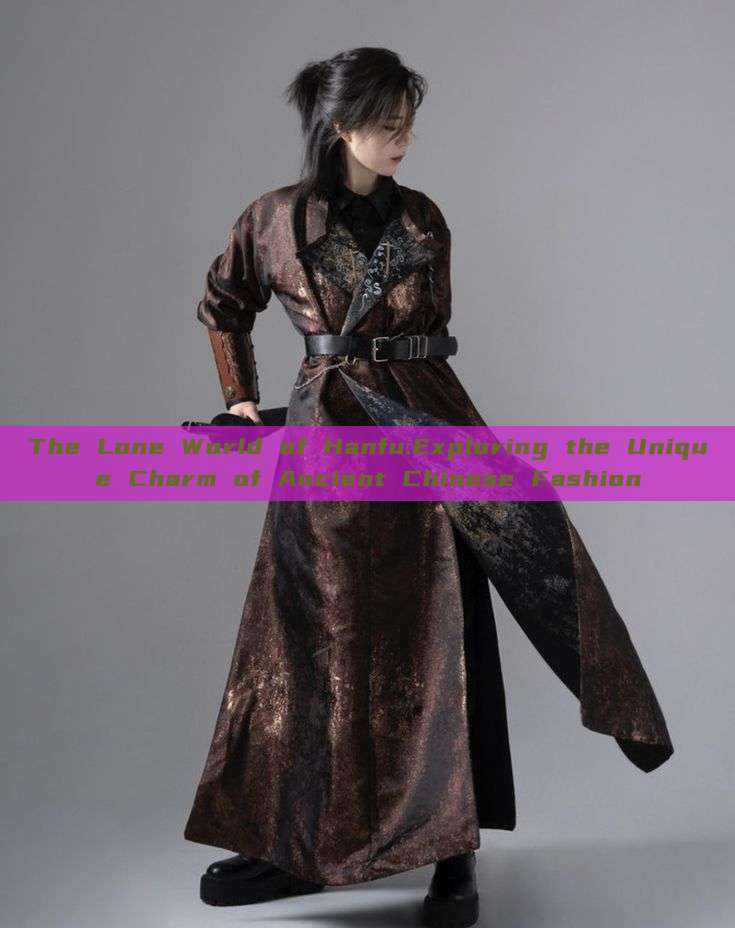 The Lone World of Hanfu:Exploring the Unique Charm of Ancient Chinese Fashion The Lone World of Hanfu:Exploring the Unique Charm of Ancient Chinese Fashion