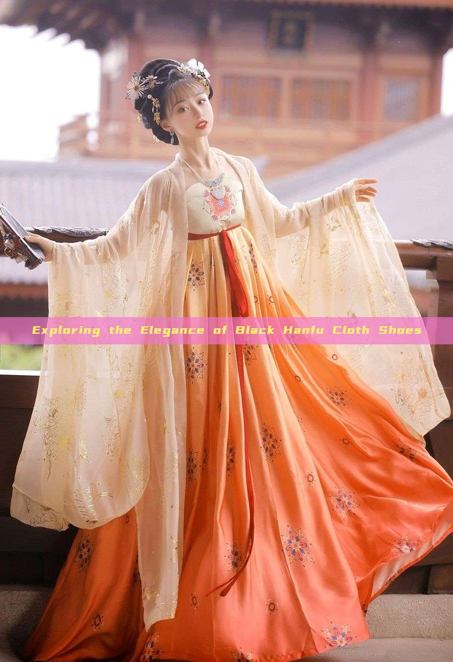 Exploring the Elegance of Black Hanfu Cloth Shoes Exploring the Elegance of Black Hanfu Cloth Shoes