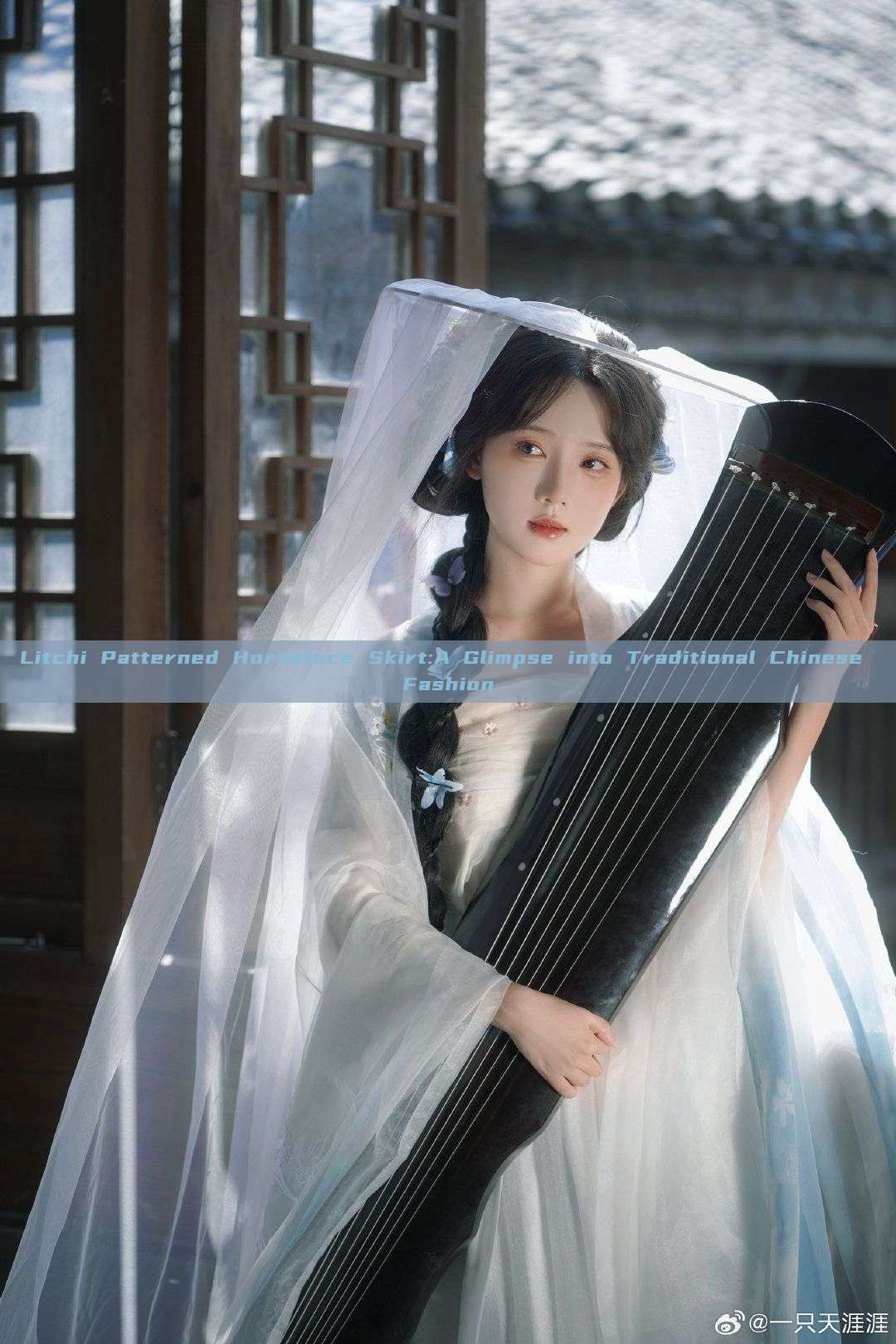 Litchi Patterned Horseface Skirt:A Glimpse into Traditional Chinese Fashion Litchi Patterned Horseface Skirt:A Glimpse into Traditional Chinese Fashion