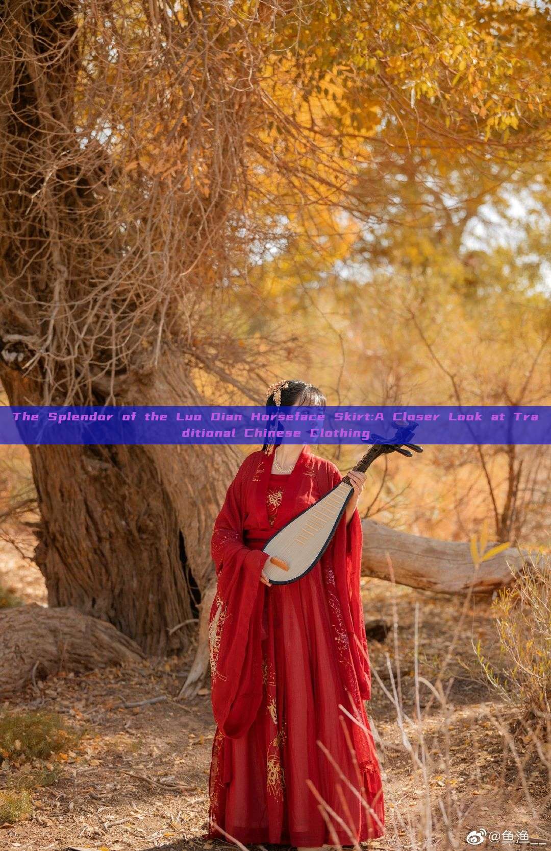The Splendor of the Luo Dian Horseface Skirt:A Closer Look at Traditional Chinese Clothing The Splendor of the Luo Dian Horseface Skirt:A Closer Look at Traditional Chinese Clothing