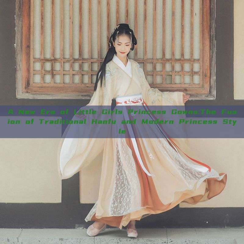 A New Era of Little Girls Princess Gowns:The Fusion of Traditional Hanfu and Modern Princess Style