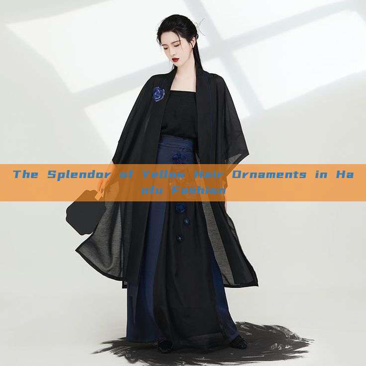 The Splendor of Yellow Hair Ornaments in Hanfu Fashion The Splendor of Yellow Hair Ornaments in Hanfu Fashion