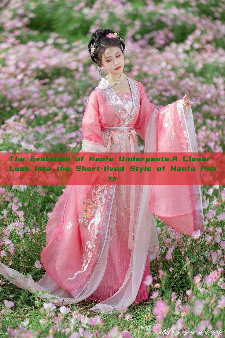The Evolution of Hanfu Underpants:A Closer Look into the Short-lived Style of Hanfu Pants The Evolution of Hanfu Underpants:A Closer Look into the Short-lived Style of Hanfu Pants