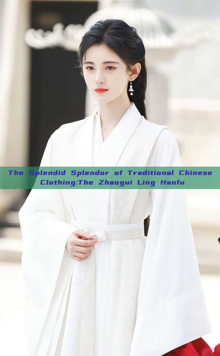 The Splendid Splendor of Traditional Chinese Clothing:The Zhaogui Ling Hanfu The Splendid Splendor of Traditional Chinese Clothing:The Zhaogui Ling Hanfu