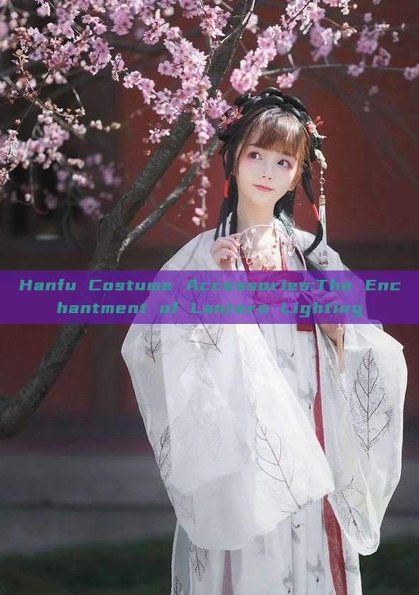 Hanfu Costume Accessories:The Enchantment of Lantern Lighting Hanfu Costume Accessories:The Enchantment of Lantern Lighting