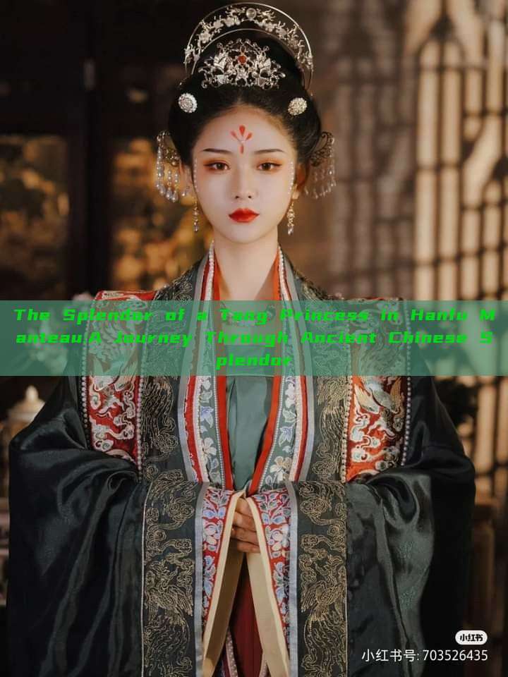 The Splendor of a Tang Princess in Hanfu Manteau:A Journey Through Ancient Chinese Splendor The Splendor of a Tang Princess in Hanfu Manteau:A Journey Through Ancient Chinese Splendor