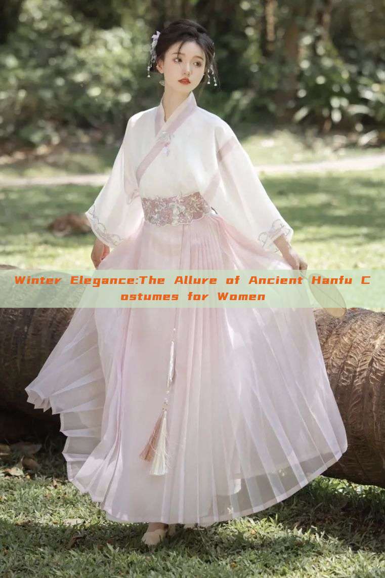 Winter Elegance:The Allure of Ancient Hanfu Costumes for Women Winter Elegance:The Allure of Ancient Hanfu Costumes for Women