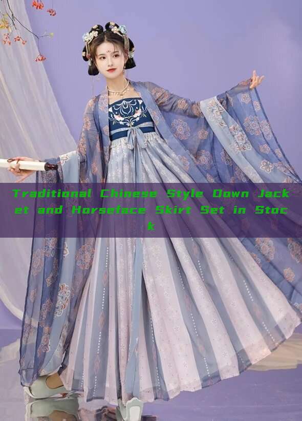 Traditional Chinese Style Down Jacket and Horseface Skirt Set in Stock Traditional Chinese Style Down Jacket and Horseface Skirt Set in Stock