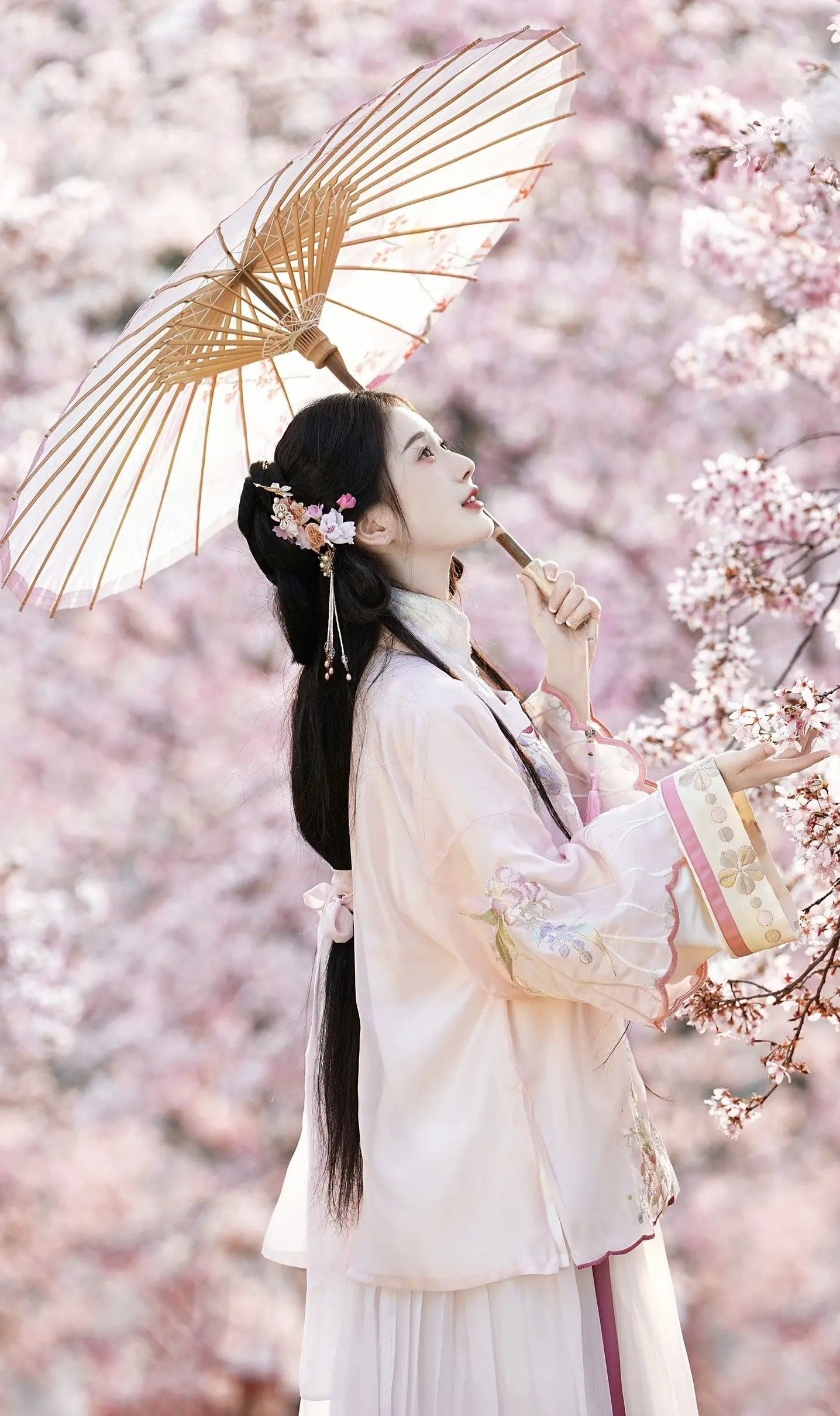 The Journey of the Long Song:Original Hanfu Design of the Lu Si The Journey of the Long Song:Original Hanfu Design of the Lu Si