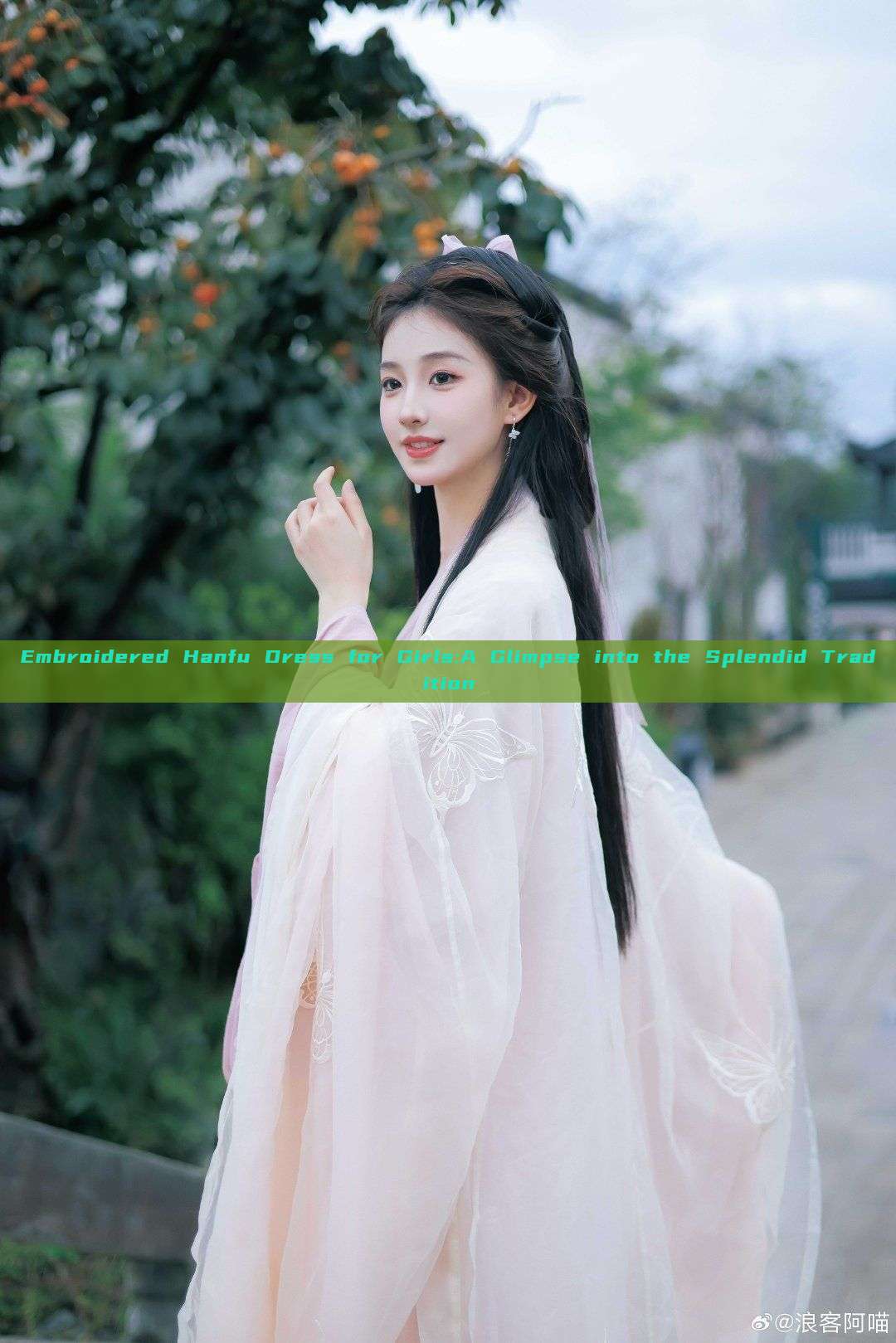 Embroidered Hanfu Dress for Girls:A Glimpse into the Splendid Tradition