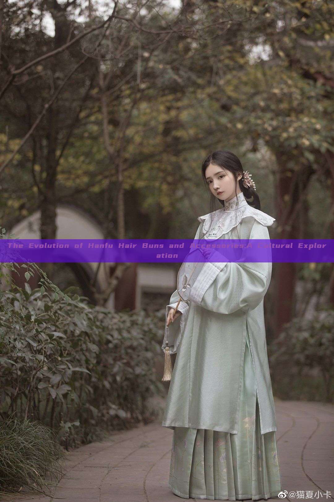 The Evolution of Hanfu Hair Buns and Accessories:A Cultural Exploration The Evolution of Hanfu Hair Buns and Accessories:A Cultural Exploration