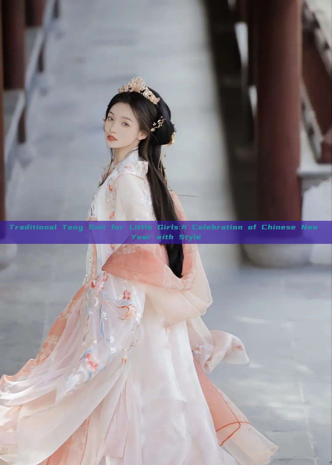 Traditional Tang Suit for Little Girls:A Celebration of Chinese New Year with Style Traditional Tang Suit for Little Girls:A Celebration of Chinese New Year with Style