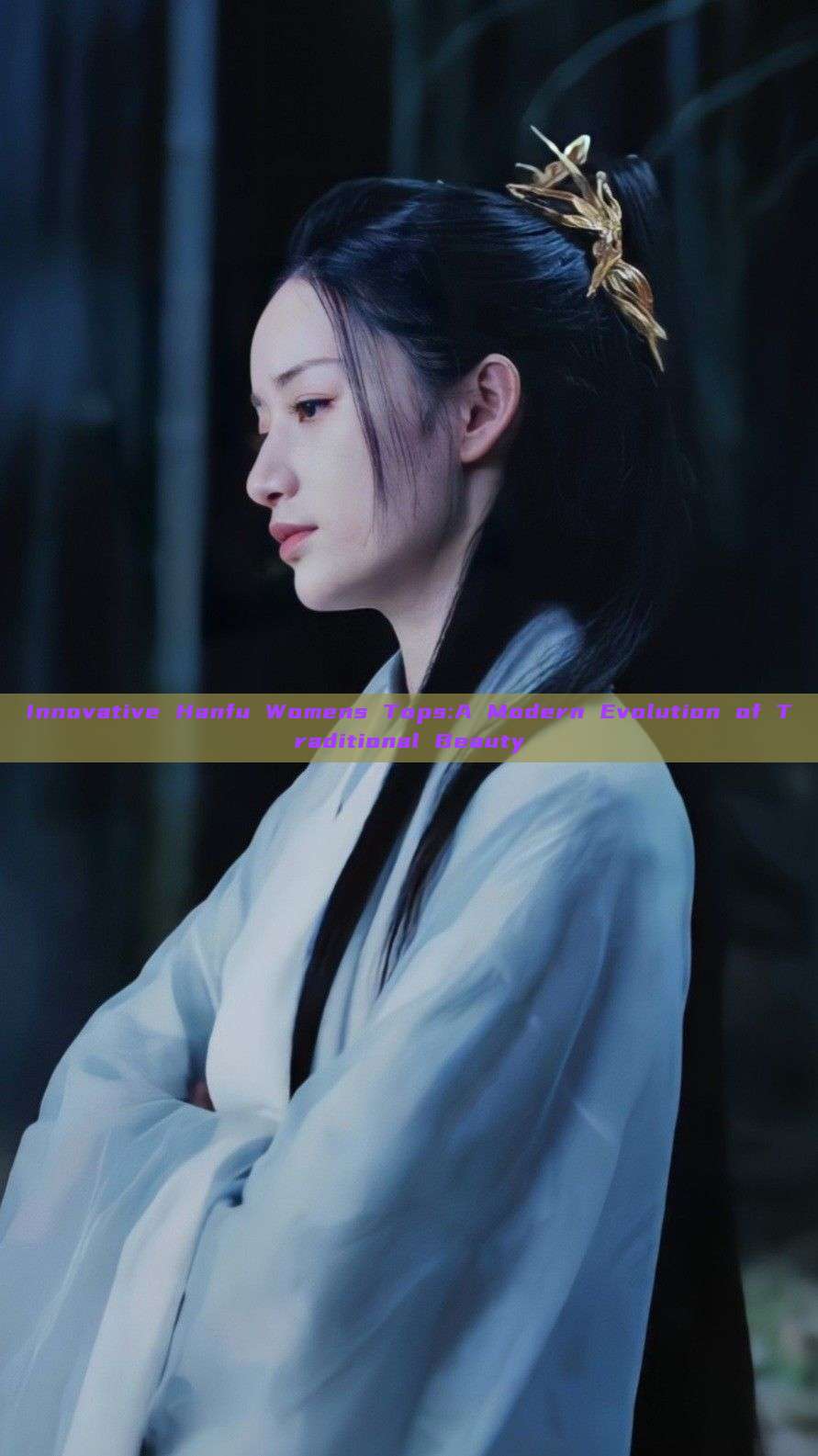 Innovative Hanfu Womens Tops:A Modern Evolution of Traditional Beauty Innovative Hanfu Womens Tops:A Modern Evolution of Traditional Beauty