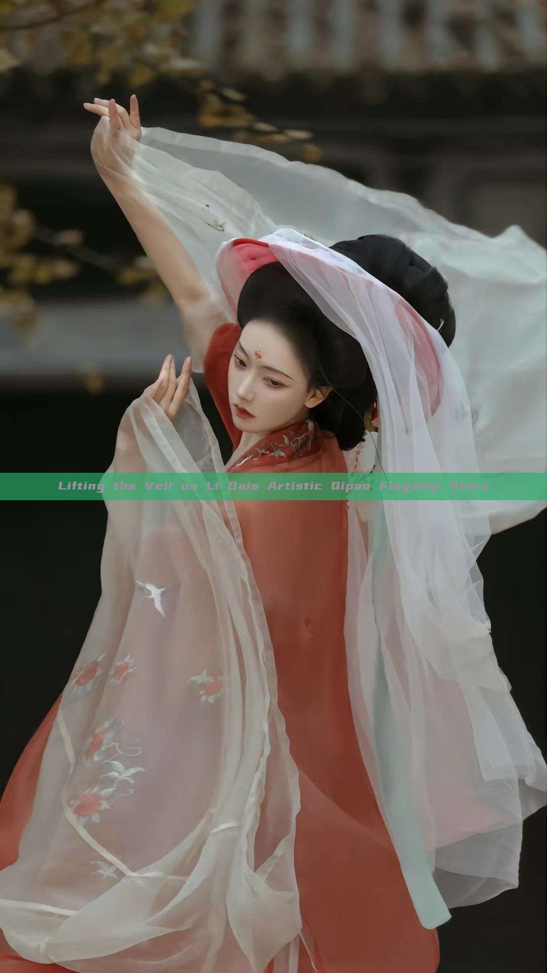 Lifting the Veil on Li Bais Artistic Qipao Flagship Store