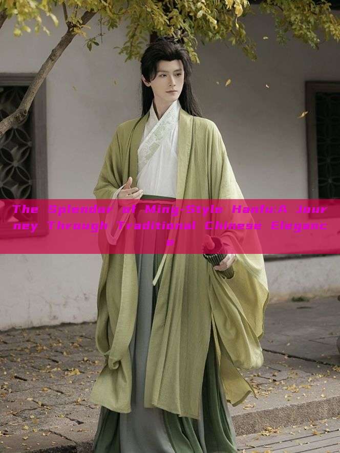 The Splendor of Ming-Style Hanfu:A Journey Through Traditional Chinese Elegance The Splendor of Ming-Style Hanfu:A Journey Through Traditional Chinese Elegance