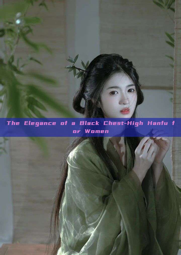 The Elegance of a Black Chest-High Hanfu for Women The Elegance of a Black Chest-High Hanfu for Women