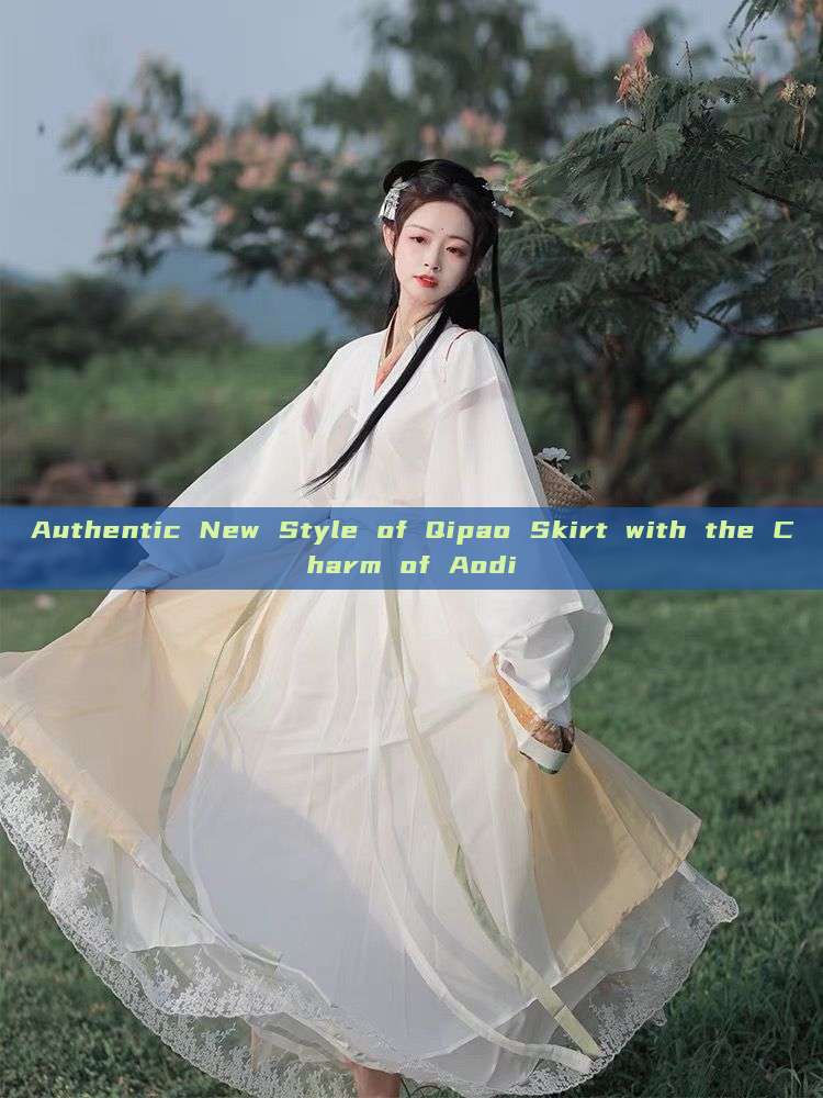Authentic New Style of Qipao Skirt with the Charm of Aodi Authentic New Style of Qipao Skirt with the Charm of Aodi