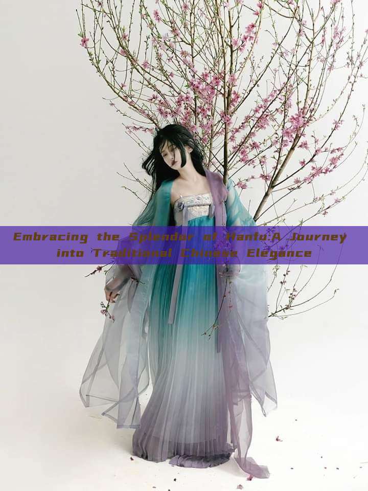 Embracing the Splendor of Hanfu:A Journey into Traditional Chinese Elegance Embracing the Splendor of Hanfu:A Journey into Traditional Chinese Elegance