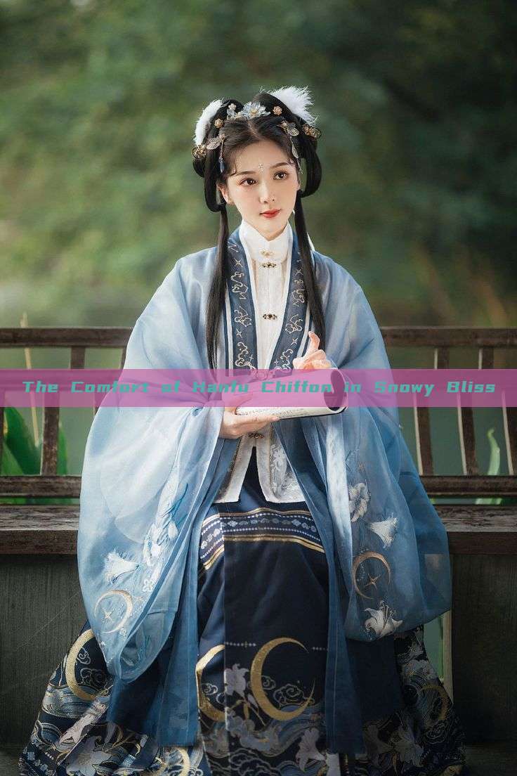 The Comfort of Hanfu Chiffon in Snowy Bliss The Comfort of Hanfu Chiffon in Snowy Bliss