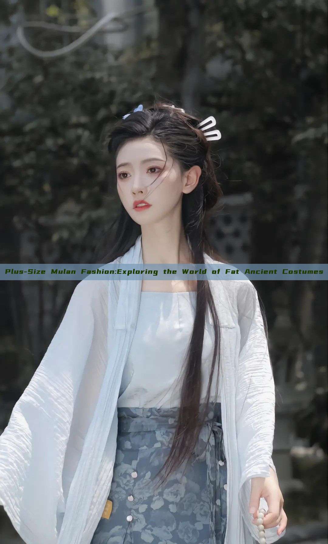 Plus-Size Mulan Fashion:Exploring the World of Fat Ancient Costumes Plus-Size Mulan Fashion:Exploring the World of Fat Ancient Costumes