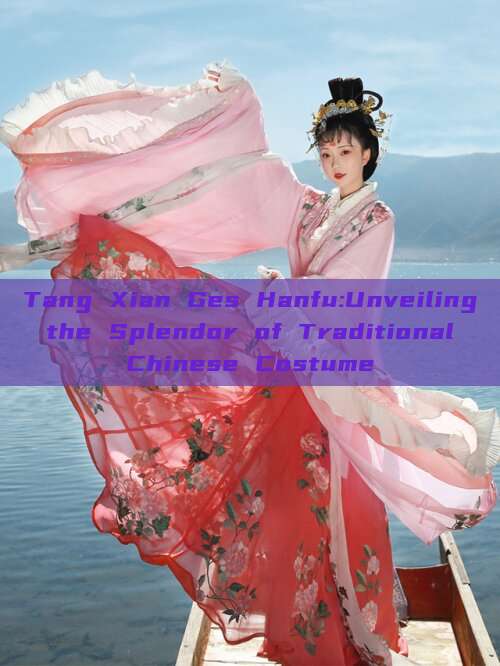 Tang Xian Ges Hanfu:Unveiling the Splendor of Traditional Chinese Costume Tang Xian Ges Hanfu:Unveiling the Splendor of Traditional Chinese Costume