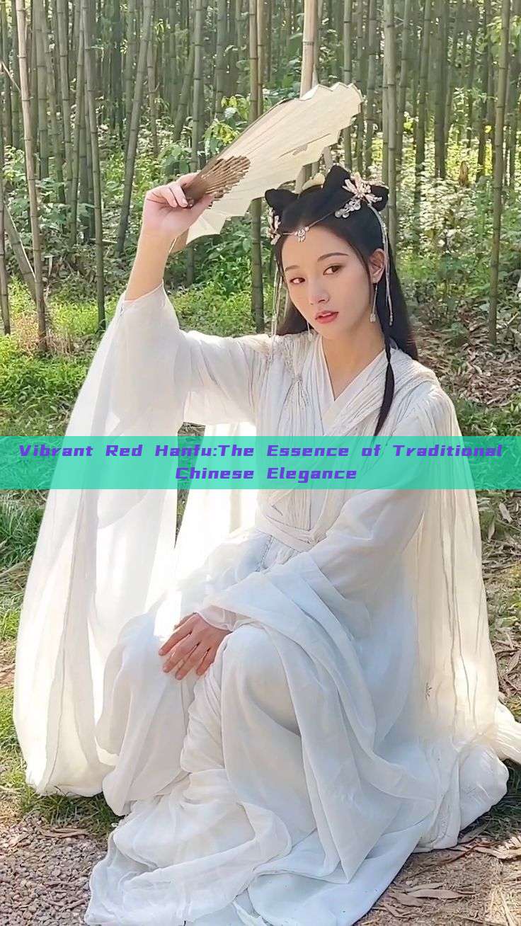 Vibrant Red Hanfu:The Essence of Traditional Chinese Elegance Vibrant Red Hanfu:The Essence of Traditional Chinese Elegance