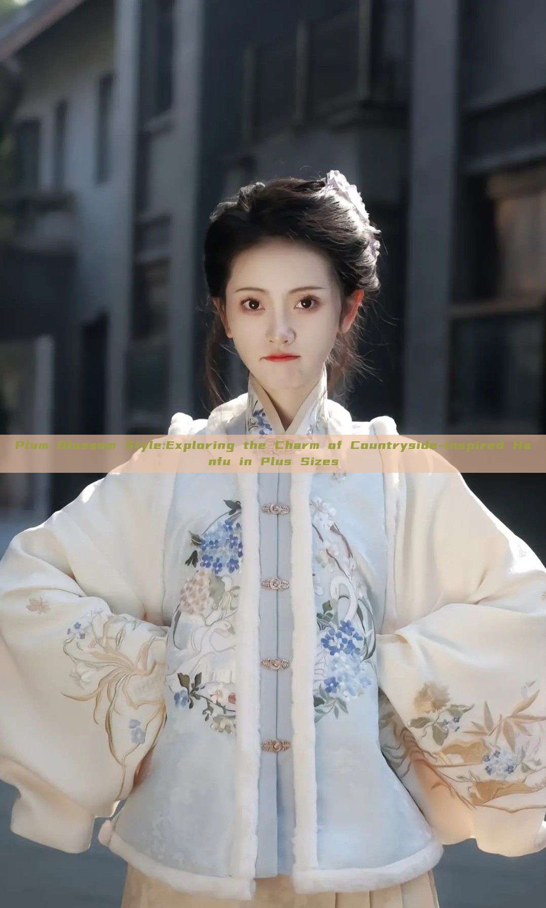 Plum Blossom Style:Exploring the Charm of Countryside-Inspired Hanfu in Plus Sizes Plum Blossom Style:Exploring the Charm of Countryside-Inspired Hanfu in Plus Sizes