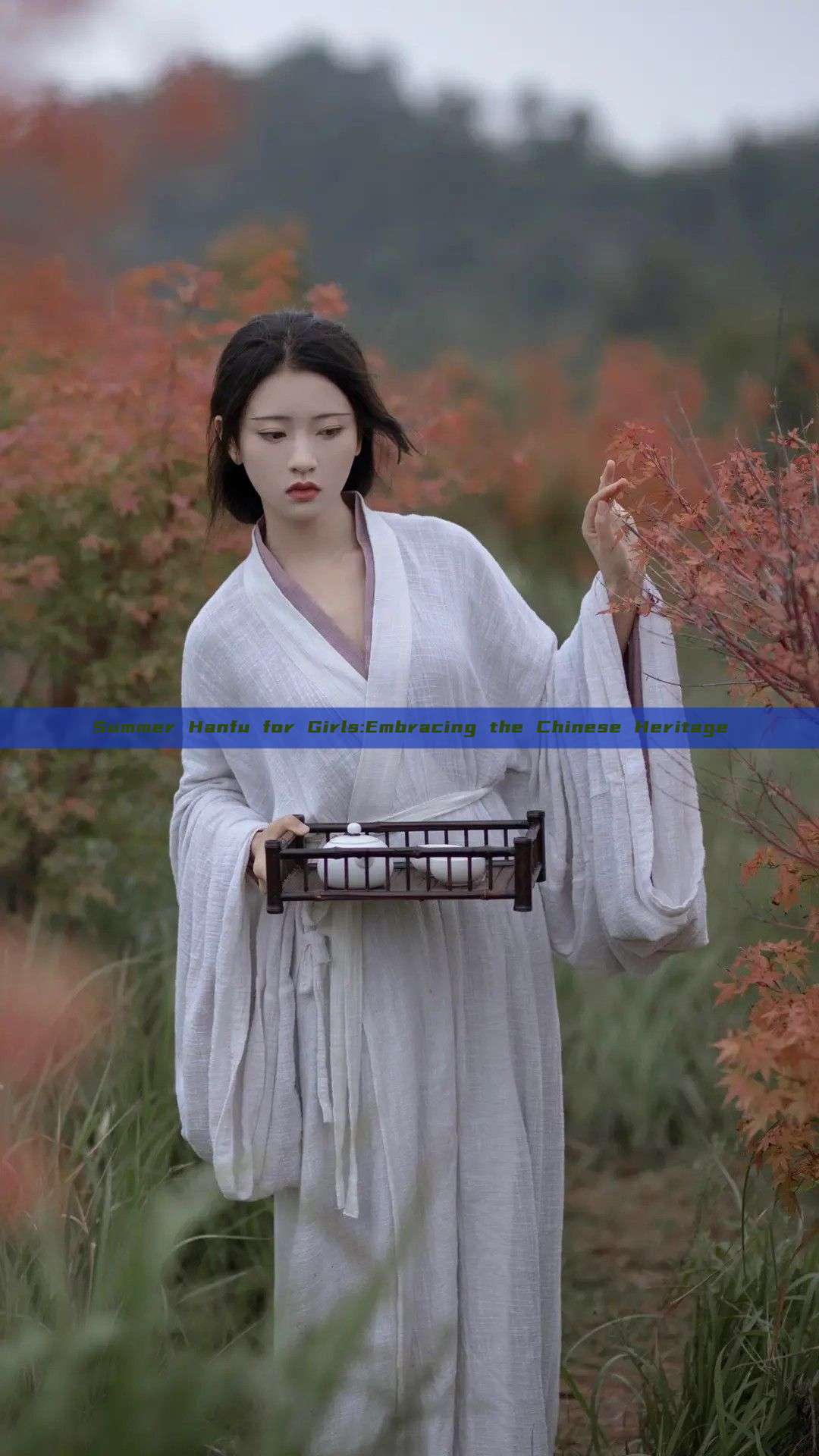 Summer Hanfu for Girls:Embracing the Chinese Heritage Summer Hanfu for Girls:Embracing the Chinese Heritage