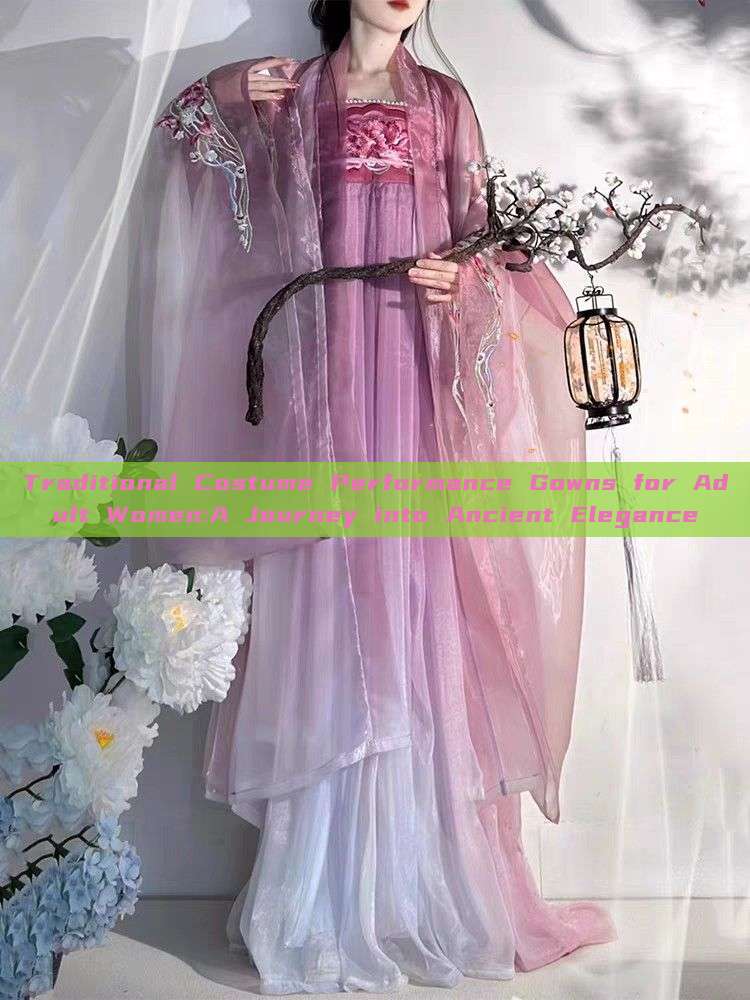 Traditional Costume Performance Gowns for Adult Women:A Journey into Ancient Elegance Traditional Costume Performance Gowns for Adult Women:A Journey into Ancient Elegance