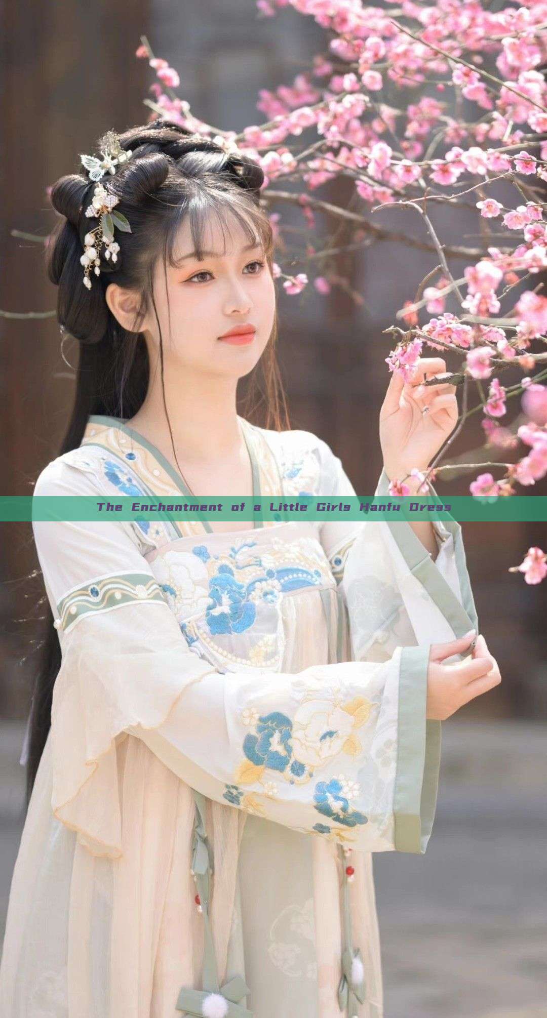 The Enchantment of a Little Girls Hanfu Dress The Enchantment of a Little Girls Hanfu Dress